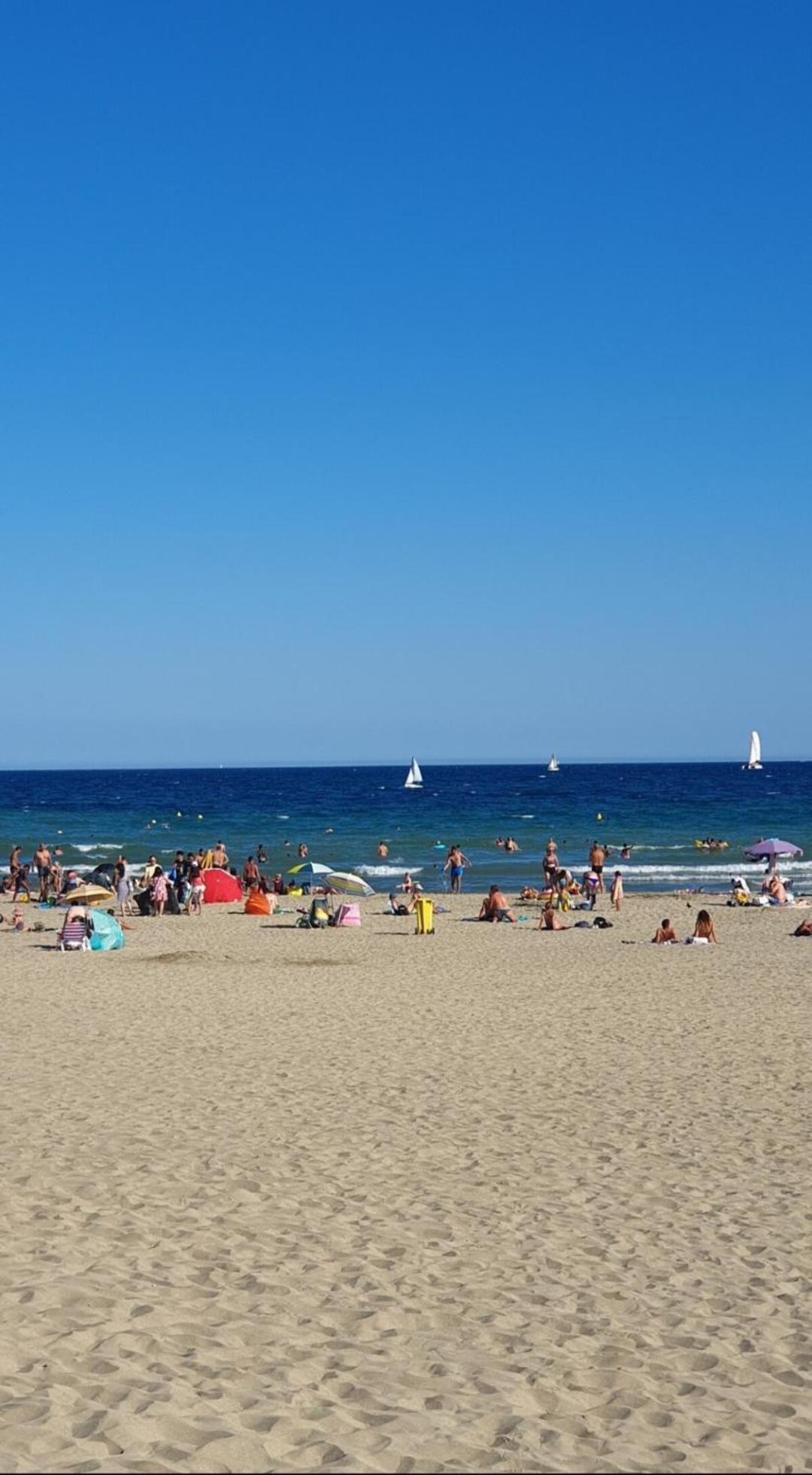 Appartement Cosy Le Phoebus Canet-en-Roussillon Bagian luar foto